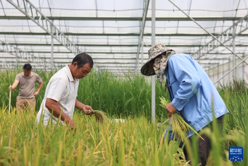 ??? ??, ‘?? ??’ ?? ?? ??