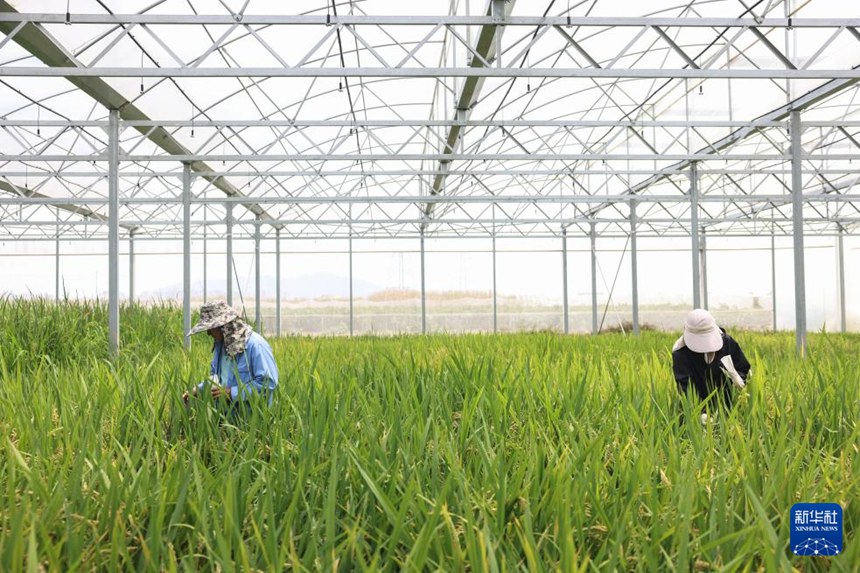 ??? ?? ?? ?? ???? ?? ???? ??? ??????????? ???? ??? ???? ??. [3? 21? ??/?? ??: ???]