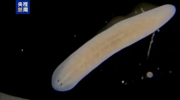 ????? ‘??行’! 中 ?????? ??? ??? ?? ??