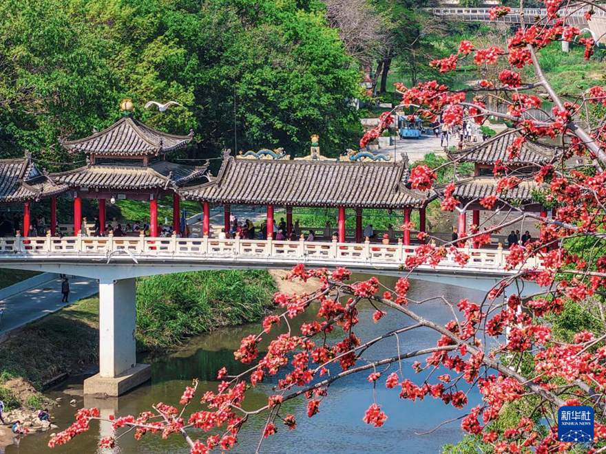 ???? ??(廣東)? ??(深圳)? ??(龍崗)? ???(龍園)???? ?? ???? ?? ??.  [3? 22? ?? ??/?? ??: ??(黃志)]