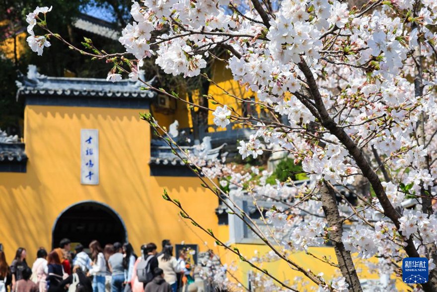 ???? ??(南京) ???(雞鳴寺)?? ?? ???? ??. [3? 22? ??/?? ??: ??(蘇陽)]