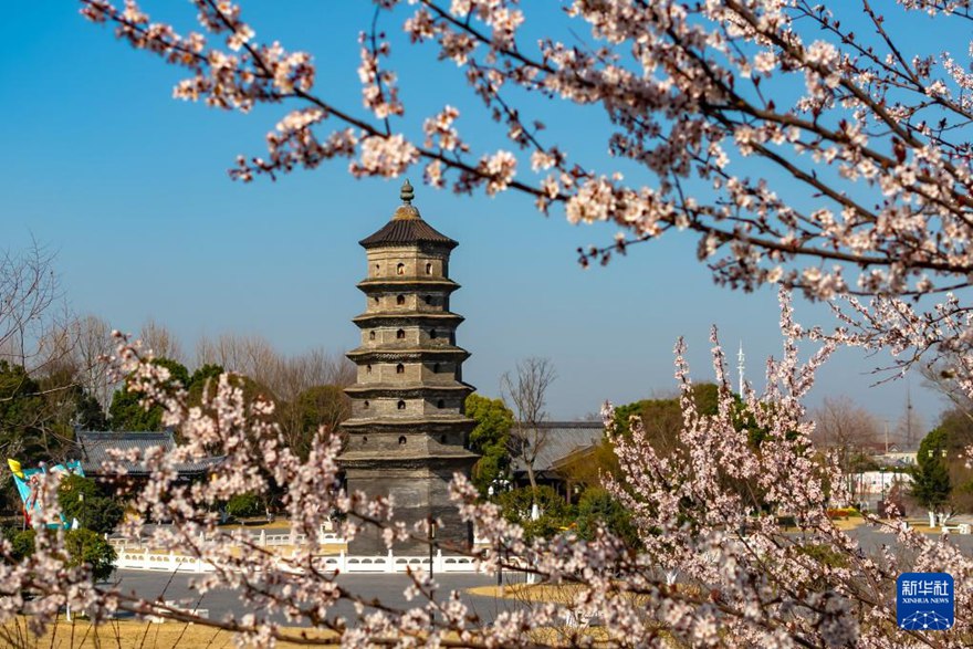 ??? ???(東臺)?? ??? ????(海春軒塔) [3? 21? ?? ??/?? ??: ???(單中華)]