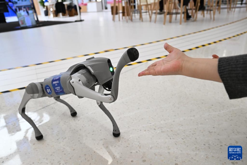 ??? ???????? ??? ???? Go2 ?? ? [3? 26? ??/?? ??: ???]