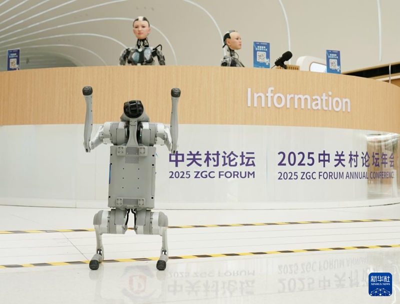 ??? ??????? ??? ???? Go2 ?? ? [3? 26? ??/?? ??: ???]