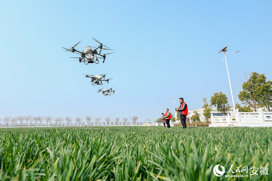 ??? ??, ???? ‘???? ??’