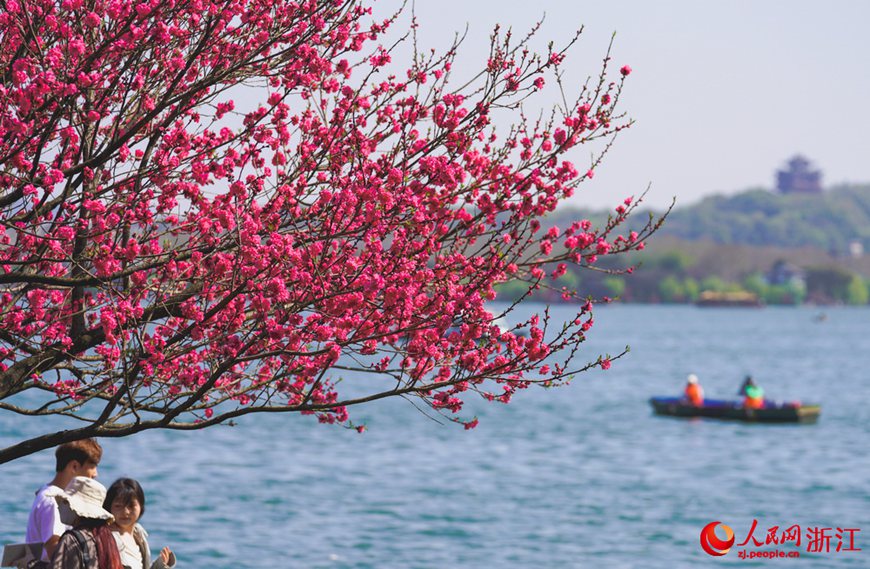 [??] ?? ???, ?? ??? ??? ??? ??