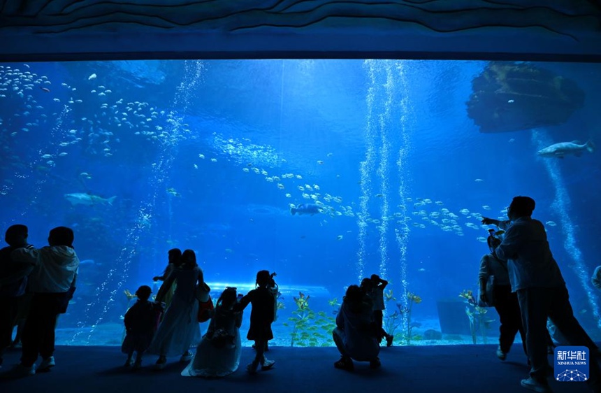 ???(海南) ???? ????? ????? ??? ??. [4? 4? ??/?? ??: ???]