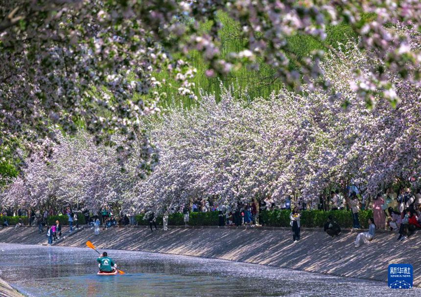 ??? ??(望京) ??? ???? ???? ??? ??? ??. [4? 6? ??/?? ??: ???]