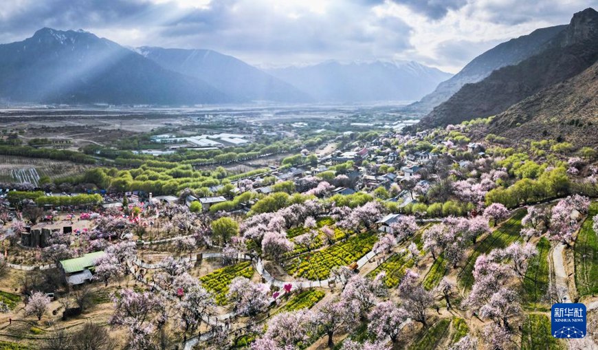 ??? ??(巴宜)? ??(嘎拉)?? ???? [3? 29? ?? ??/?? ??: ???]