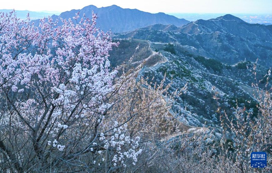 ?? ??? ??? ?? [4? 5? ??/?? ??: ???]