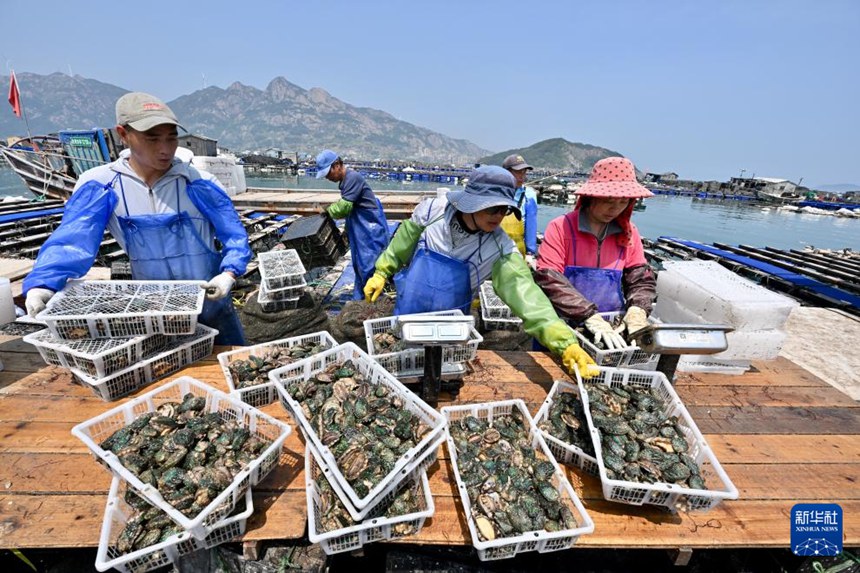 ‘??? ??’ ?? ??, 5? ?? ?? ?? ??