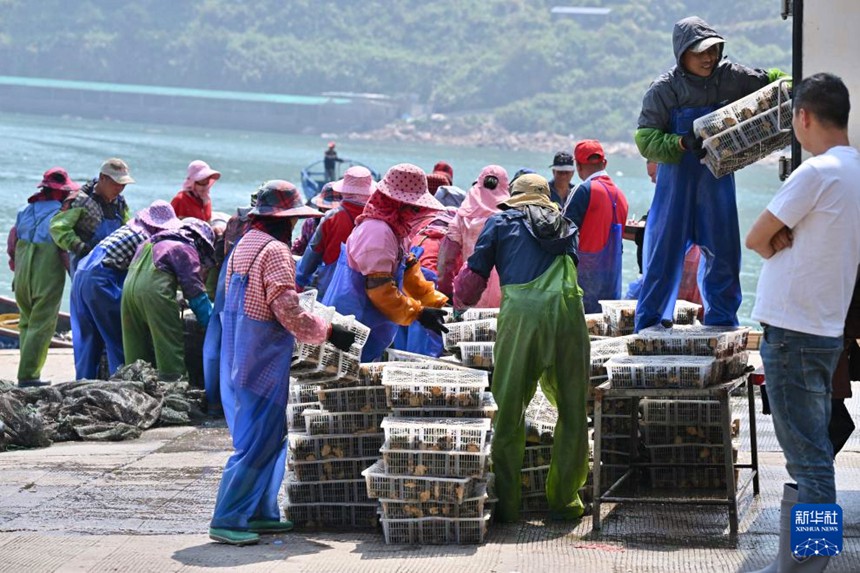 ??? ???? ???(赤才)? ???? ???? ??? ??? ??? ???? ??. [4? 11? ??/?? ??: ???]