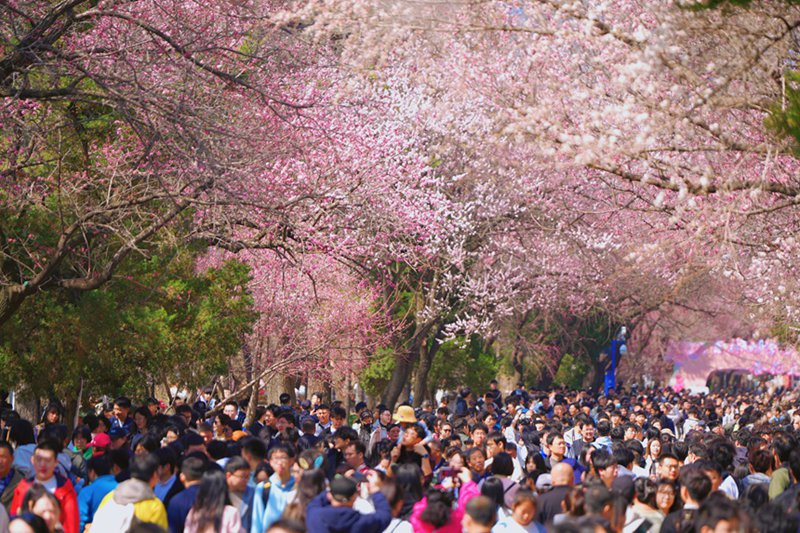 20?, ?? ???? ????? ?????? ?? ???? ???? ??. [?? ??: ???]