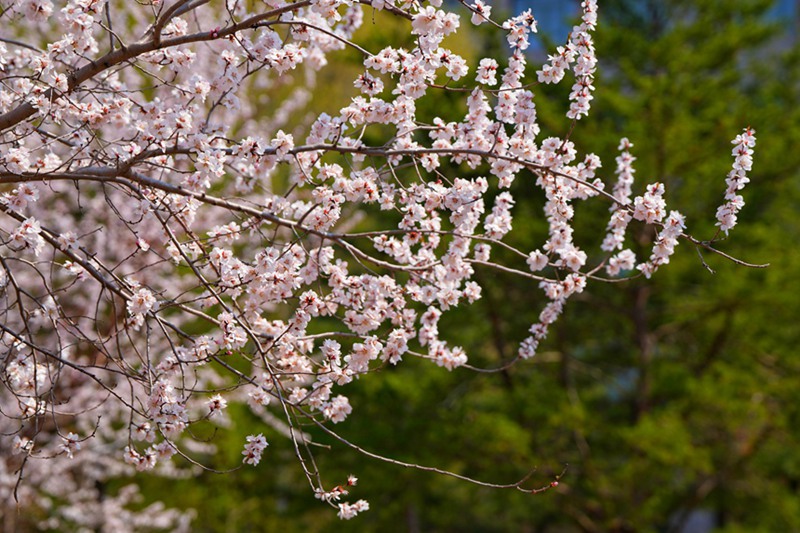 20?, ????? ??? ??? ???? ??? ??? ???? ???. [?? ??: ???]