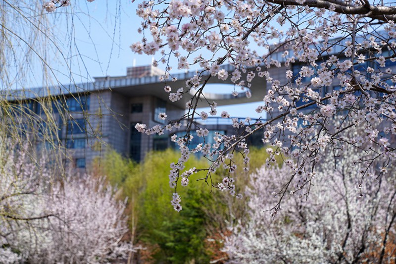 ???? ???? ?? ?? ??? ????? ????. [?? ??: ???]