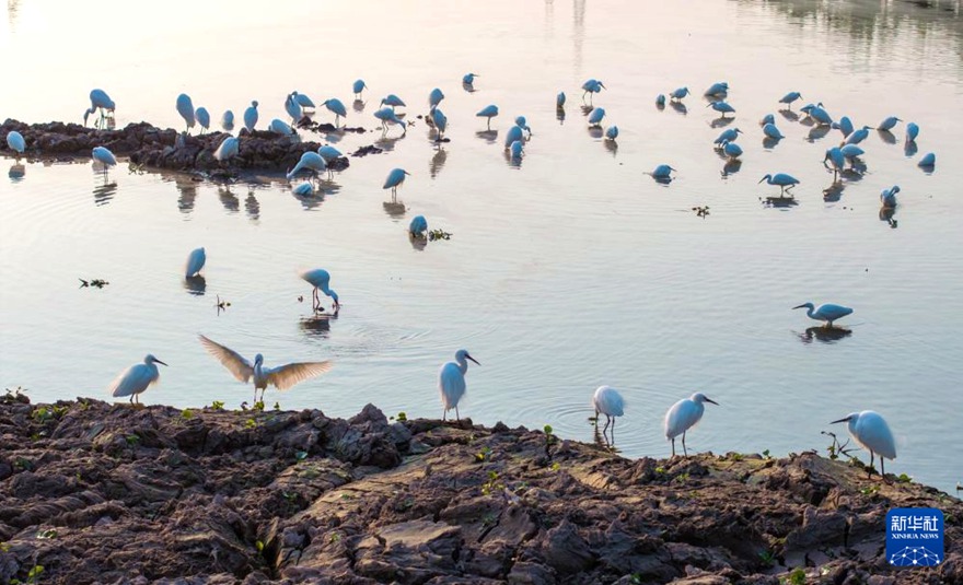 ?? ??????? ????. [2? 10? ?? ??/?? ??: ???]