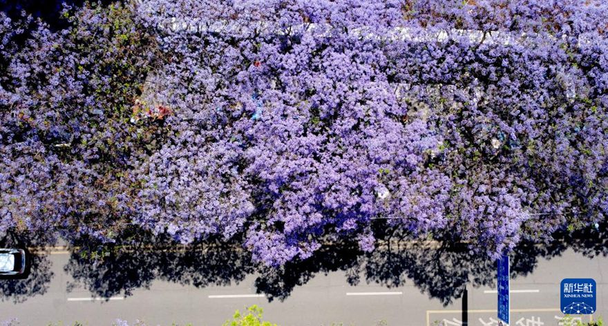 [??] ?? ??, ???? ?? ?? ???? ??