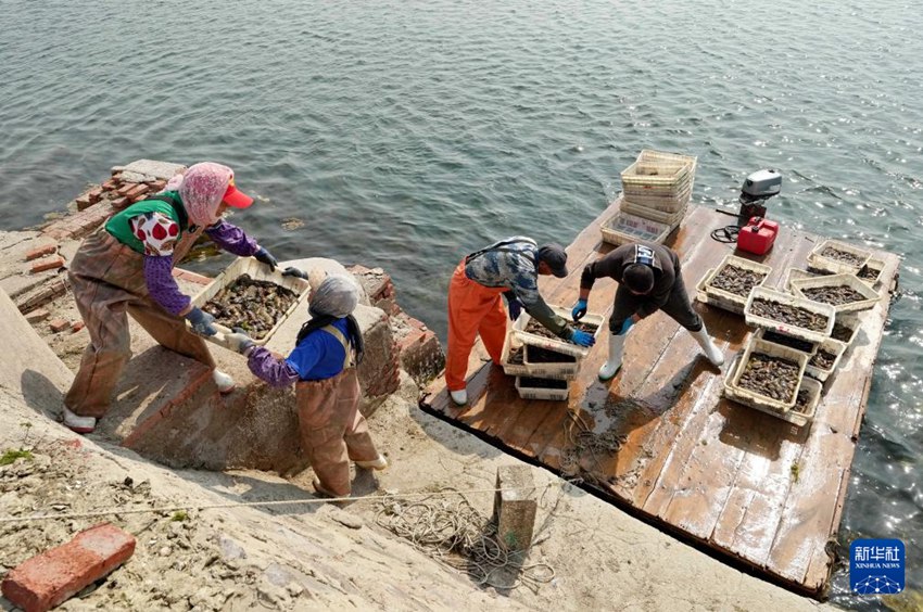 ????? ?? ??? ??? ???? ??. [5? 12? ??/?? ??: ???]