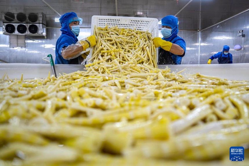 ?? ??, ?? ???? ? ?? ???