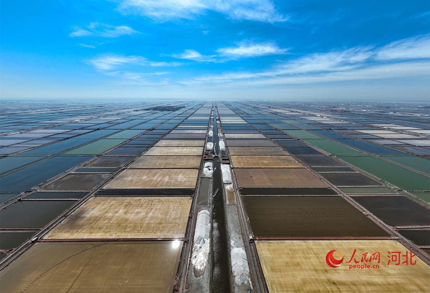 ???? ??? ?????? ??? ?? [?? ??: ???]