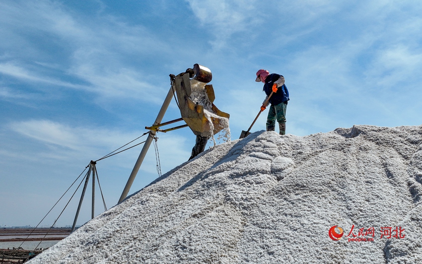 ???? ??? ??? ???? ?? ???. [?? ??: ???]