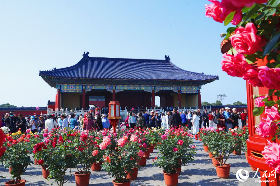 ??? ?????? ????? ?? ???? ???? ??. [?? ??: ???]