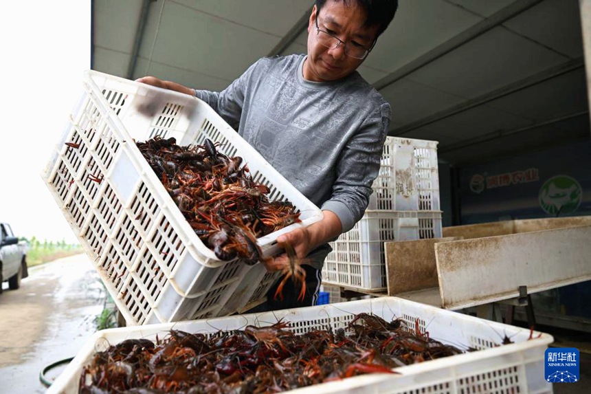 ???? ????? ???? ??. [5? 15? ??/?? ??: ???]