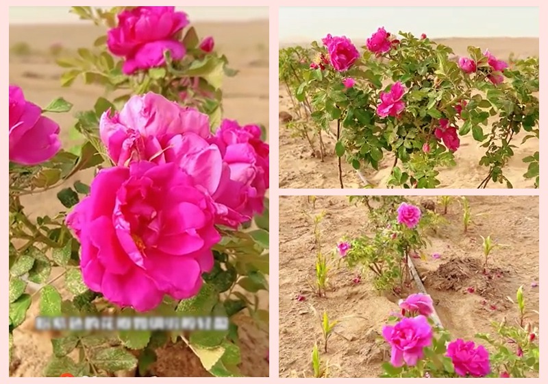 ????? ??? ?? 10? ??? ??, ?? ???!