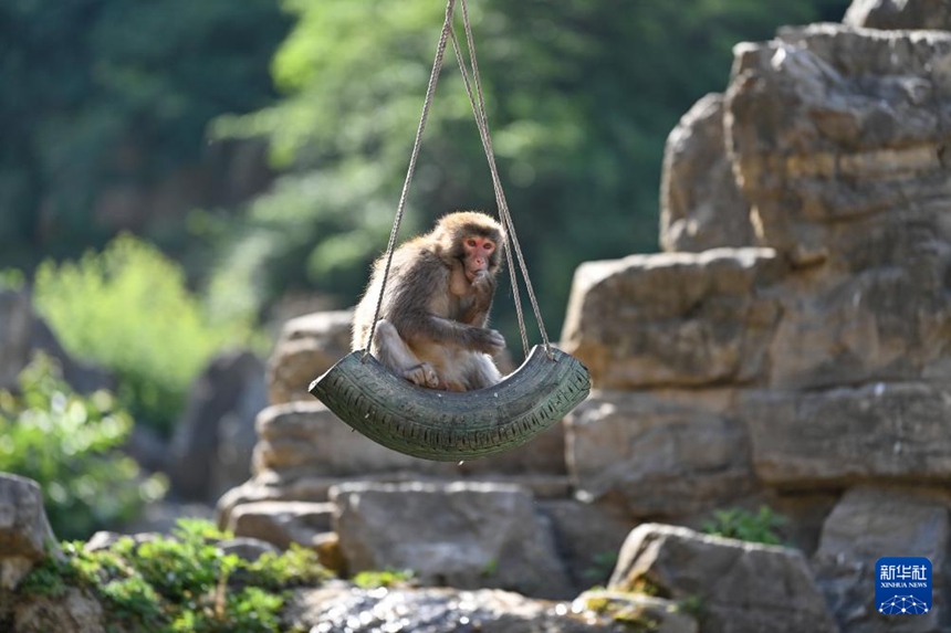 ?? ?????? ??? ??????? ??????? ??? ?? ??. [5? 21? ??/?? ??: ???]