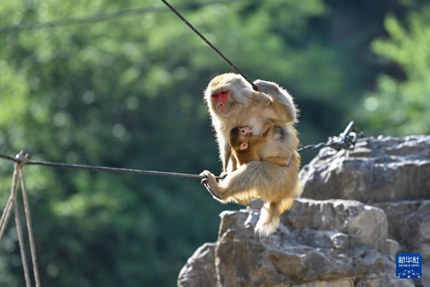 ???????? ??????? ?? ??. [5? 21? ??/?? ??: ???]