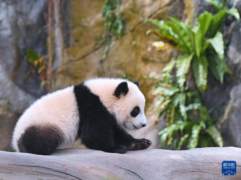 [??] ? ‘?? ??’ ??? ??, ?? ?? ‘??’? ‘??’? ??