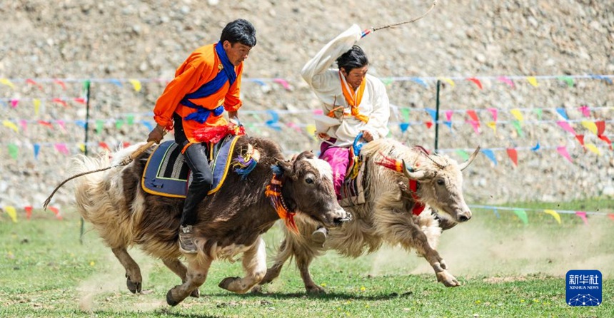 ?? ????? ?? ??? ??? ???? ??. [5? 29? ??/?? ??: ???]