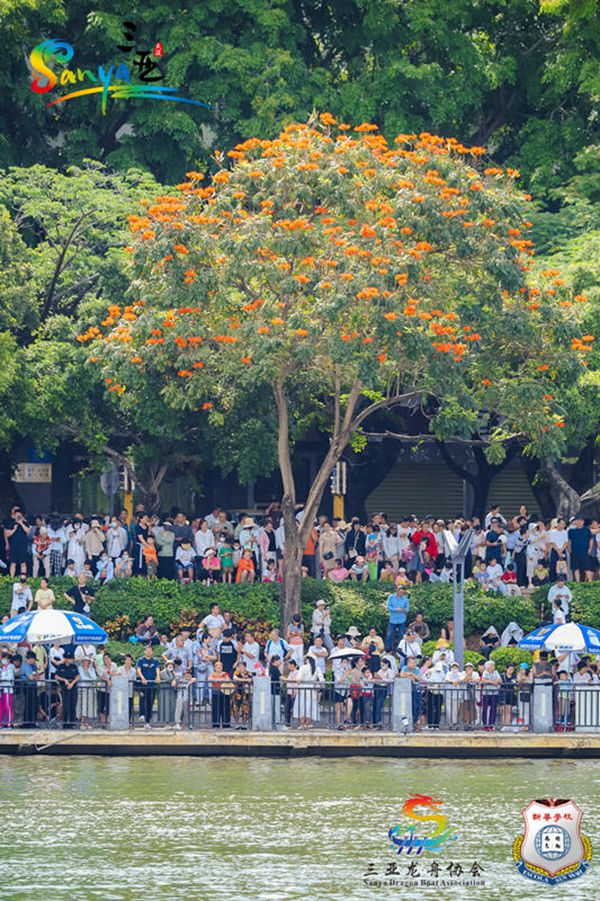 ?? ??? ?? ??? [?? ??: ???]