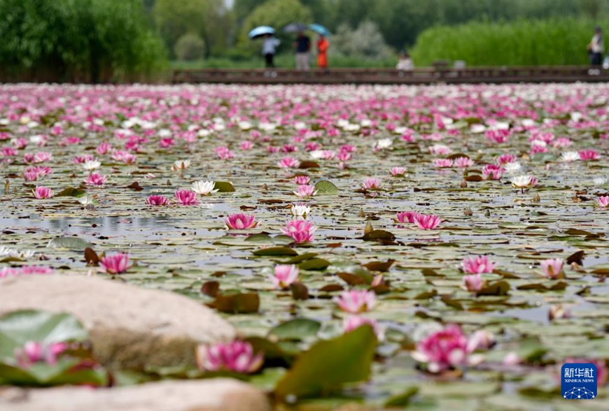 ????? ?? ??? ?? ?? ??????? ??? ???? ??. [6? 1? ??/?? ??: ???]