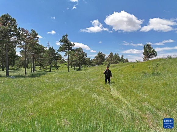 2024? ?? ???? ? ??? ??...??-?? ?? ??