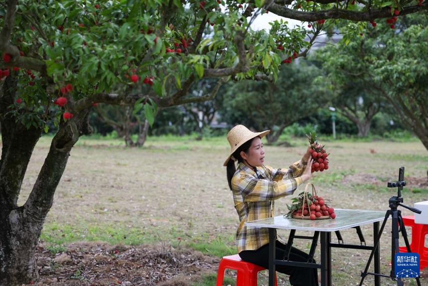 ???????? ???(陳麗榮) ?? ??? ??? ???? ?? ??? ???? ???? ??. [6? 4? ??/?? ??: ???]