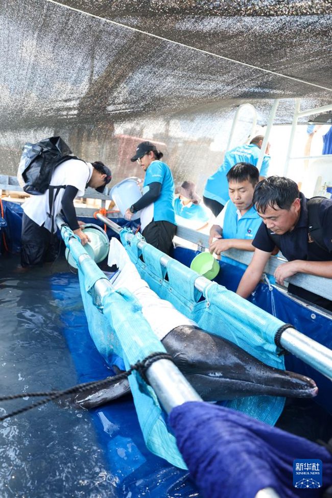 ?????? ? ??? ‘??’? ??? ??. [6? 8? ??/?? ??: ???]