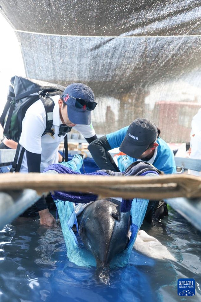 ?????? ? ??? ‘??’? ??? ??. [6? 8? ??/?? ??: ???]