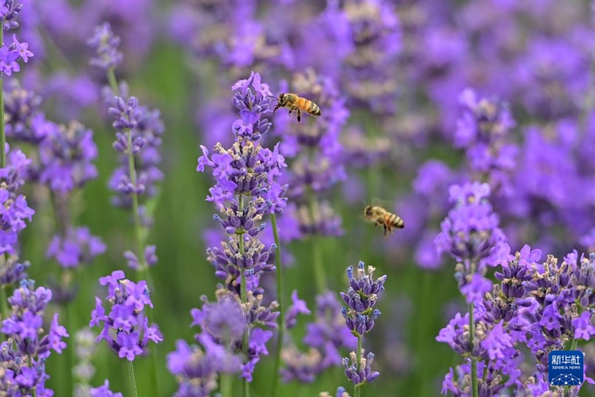 ??? ???? ??? ??? ??? ?? [6? 14? ??/?? ??: ???]