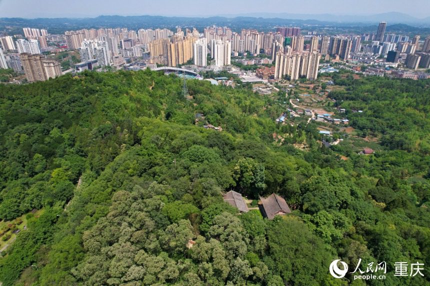 ?? ?? ??? ?? ??(南山)??