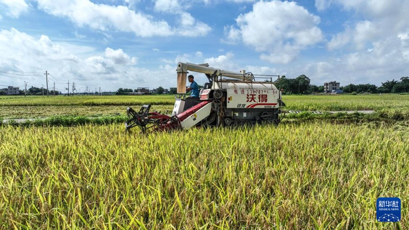 ?? ???? ???? ??? ???? ???? ??? ?? ???? ??. [7? 2? ?? ??/?? ??: ???]