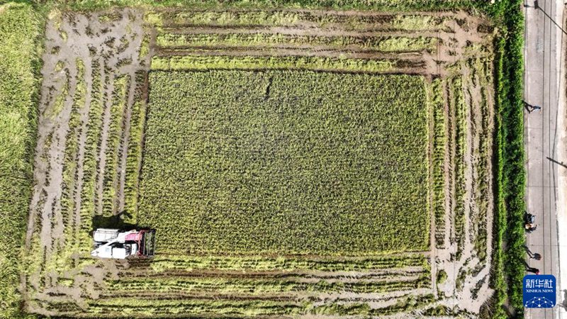 ?? ???? ???? ??? ???? ???? ??? ?? ???? ??. [7? 2? ?? ??/?? ??: ???]