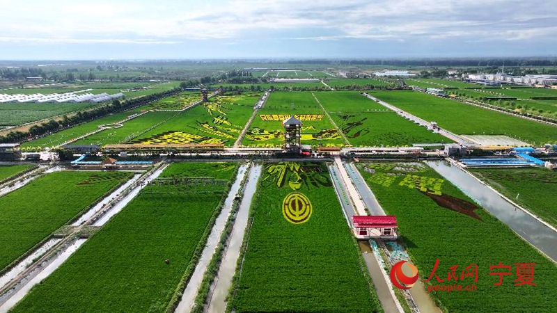 ????? ?? ?? ????? ?? ? ?? ?? [?? ??]