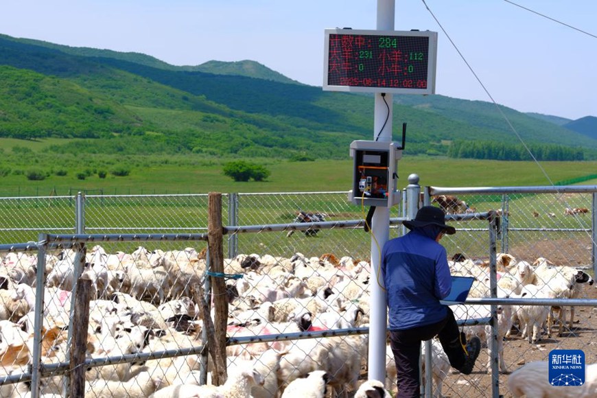 ???? ?????????(高格斯臺罕烏拉) ??? ????? ??? ????(敦都烏蘇) ????? ??? ???? ???? ??? ?? ?? ??. [6? 14? ??/?? ??: ???]