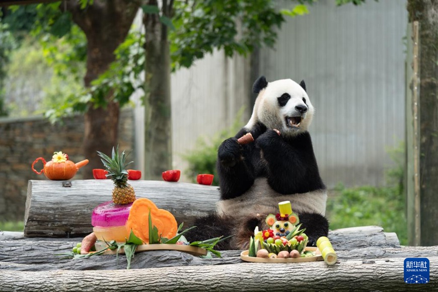 ?????? ????(小奇跡)? ??? ??? ??. [7? 17? ??/?? ??: ???]