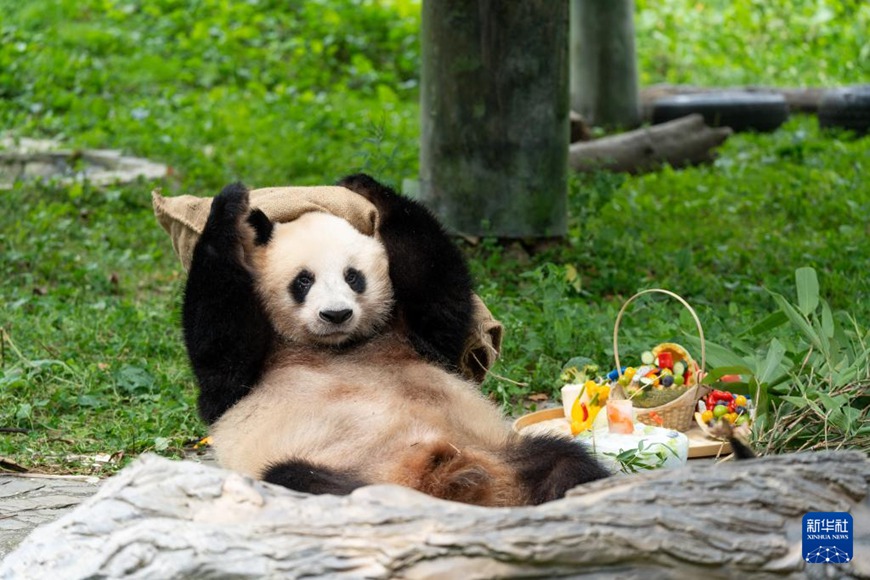 ?????? ???(水秀)? ?? ??. [7? 17? ??/?? ??: ???]