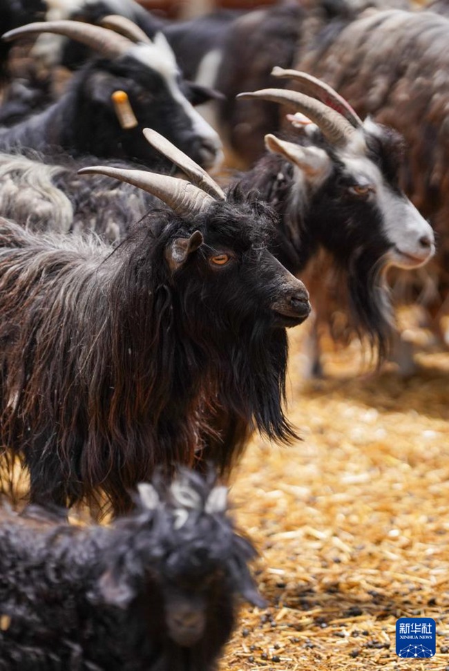 ????? ?? ??? [7? 20? ??/?? ??: ???]