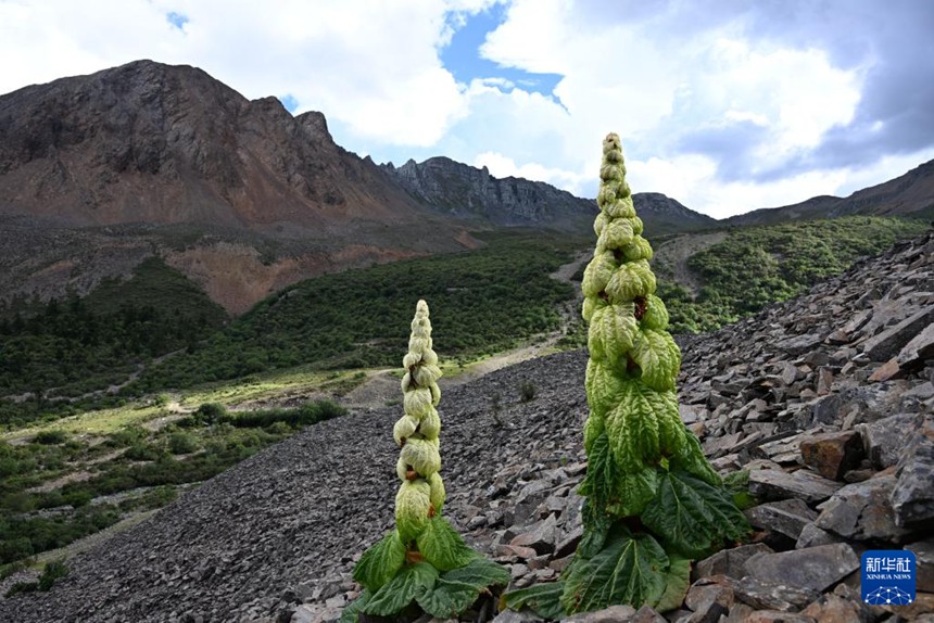 ??, ???? ???? ??? ????