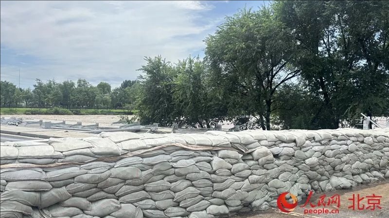 ???????? ?? 10?? ??? ??? 1100m ??? ????. [?? ??: ???]