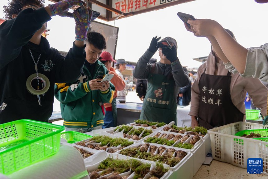 ???? ????? ???? ?????? ??? ??? ????? ???? ??. [7? 24? ??/?? ??: ???]